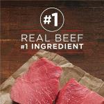 Purina ONE Beef & Brown Rice Wet Dog Food