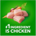 IAMS Proactive Health Wet Dog Food - Chicken Gravy