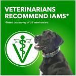 IAMS Proactive Health Wet Dog Food - Chicken Gravy