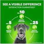 IAMS Proactive Health Wet Dog Food - Chicken Gravy