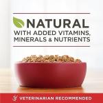 Purina ONE Beef & Brown Rice Wet Dog Food