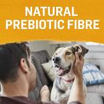 Beyond Natural Wet Dog Food, Chicken & Veggies