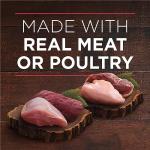 Purina ONE True Instinct Wet Dog Food Variety Pack