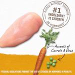 Beyond Natural Wet Dog Food, Chicken & Veggies