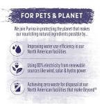 Beyond Wild Turkey, Liver & Duck Wet Dog Food 12 Pack