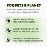 Beyond Natural Wet Dog Food, Chicken & Veggies