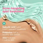 Almay Clear Complexion Blemish Concealer with Salicylic Acid