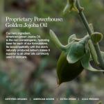 Ogee Organic Full Coverage Under Eye Concealer