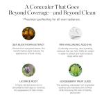 Ogee Organic Full Coverage Under Eye Concealer