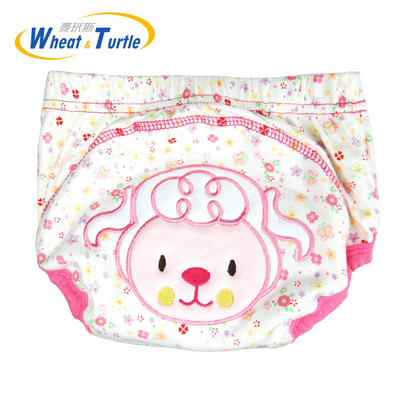 Reusable Cloth Diapers for Infants and Children