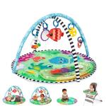 Baby Einstein Water Mat Play Gym