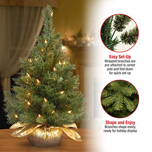 24" Majestic Fir Tree with Clear Lights for Christmas