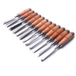 12-Piece Wood Carving Chisel Set for Beginners