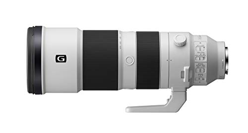 Sony 200-600mm G OSS Zoom Lens