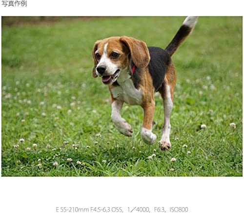 Sony E 55-210mm F4.5-6.3 Lens for E-Mount Cameras