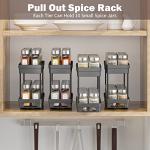 2-Pack Slide-Out Spice Rack Organizer System