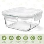 Borosilicate Glass Lunch Containers with Lids, 4 Pack