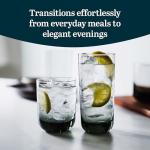 Libbey Polaris Smoke Tumbler and Rocks Glass Set