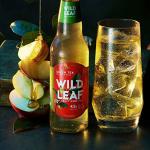 Set of 8 Versatile Drinking Glasses