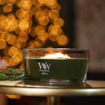 Fraser Fir Holiday Candle Gift - 16 oz