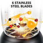 700W Bear Blender for Smoothies and Shakes