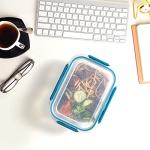 9-Pack Glass Storage Containers with Airtight Lids