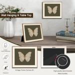 Vintage Butterfly Wall Art with Antique Frame