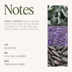 LA JOLIE MUSE Eucalyptus & Sage Candle 19 oz