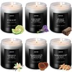 6 Pack Scented Soy Candles for Men