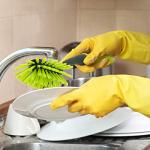 Pine-Sol Long Handle Heavy Duty Dish Brush