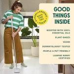 Aunt Fannie's Lemon-Scented Floor Cleaner, 64 oz