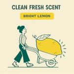 Aunt Fannie's Lemon-Scented Floor Cleaner, 64 oz