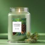 Yankee Candle Balsam & Cedar Large Jar 22oz