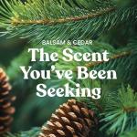 Yankee Candle Balsam & Cedar Large Jar 22oz