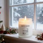 Holiday & Christmas Winter Candles Gift Set,4 Pack Long Lasting Soy Candles for Home,Natural Aromatherapy Candles with Relaxing Scents,Perfect Spa Gifts for Women