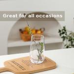 Wlasss Set of 6 Crystal Drinking Glasses