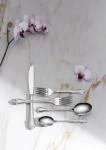 Oneida True Rose 45-Piece Flatware Set for 8
