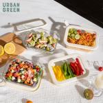 Urban Green Microwave Safe Glass Food Storage Set