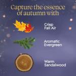 Glade 1-Wick Candle Jar, Embers & Sandalwood