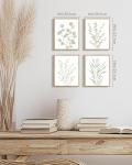 Botanical Eucalyptus Wall Art Set of 4