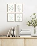 Botanical Eucalyptus Wall Art Set of 4