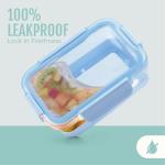 Glass Meal Prep Set with Airtight Lids, 10 Pieces