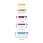 Joseph Joseph Nest Lock 10-Piece Food Storage Set