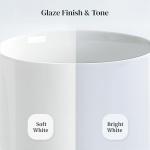 Ceramic Scalloped Dinner Plates Set of 6