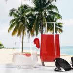 Mfacoy 8-Piece Drinking Glass Set for All Beverages
