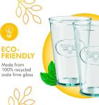 Bee Design Hiball Glasses - 16 Oz, Set of 6