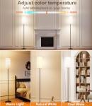 Dimmable Tall Floor Lamp with Remote Control