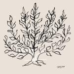 5-Piece Matisse Abstract Wall Art Set