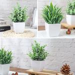 2 Pack Mini Fake Potted Plants for Home Decor