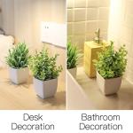2 Pack Mini Fake Potted Plants for Home Decor